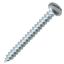 Show details for SCREW S/TAPPER PAN SL ZP 14X50 Picture of SCREW S/TAPPER PAN SL ZP 14X50