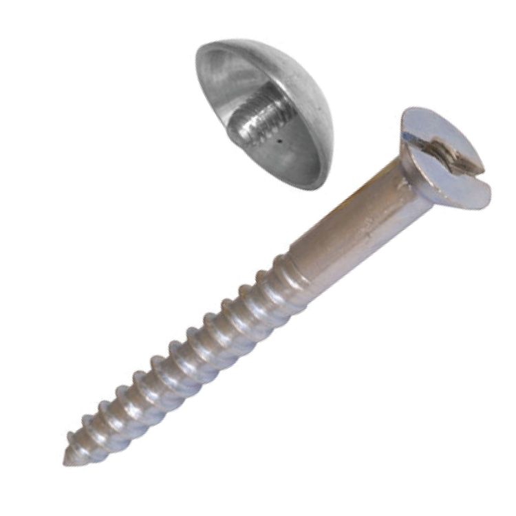 Picture of SCREW MIRROR 8X25